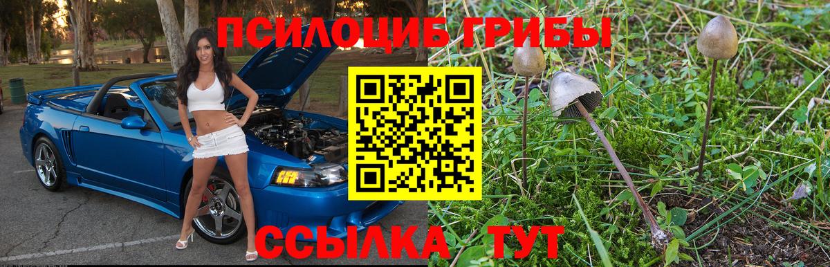 Тюмень  Галлюциногенные грибы Psilocybine cubensis  сколько стоит  Вход с VPN 